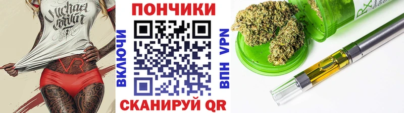 Купить закладки Мытищи Бошки марихуана THC 21%